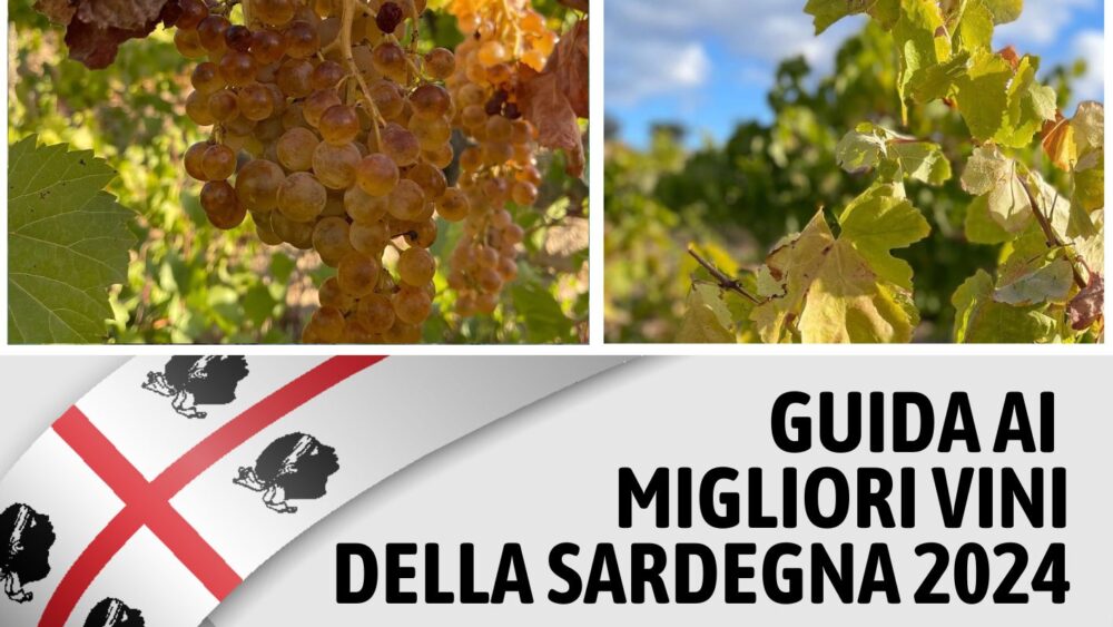 Guida Ai Migliori Vini Della Sardegna 2024 Di Vinodabere Le Migliori   VDB 2024 Granazza 1000x563 