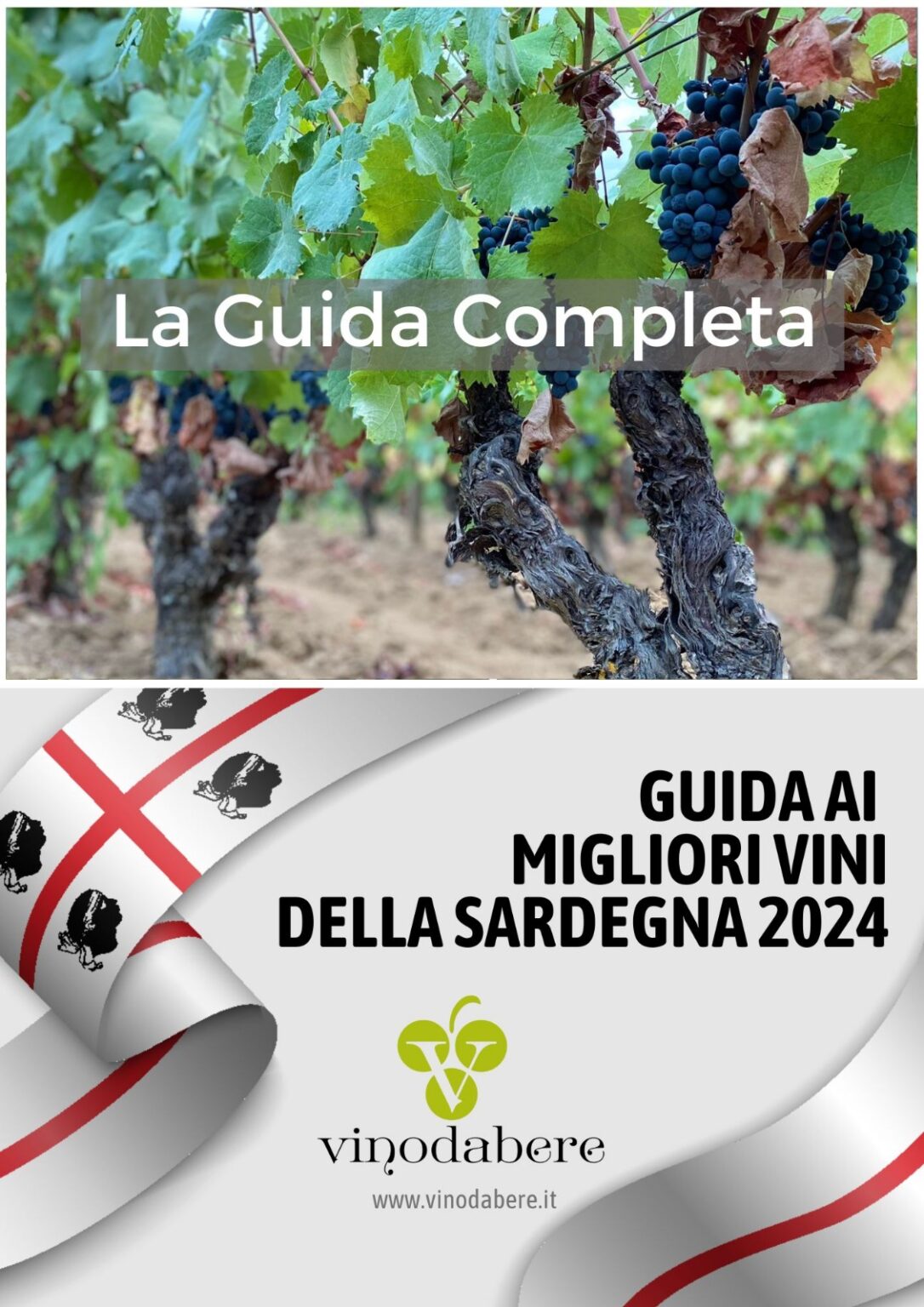 Guida Ai Migliori Vini Della Sardegna 2024 Di Vinodabere La Guida   GUIDA COMPLETA 1086x1536 