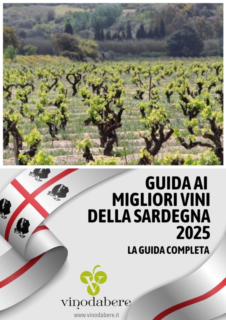 Guida ai Migliori Vini della Sardegna 2025 di Vinodabere – La Guida Completa