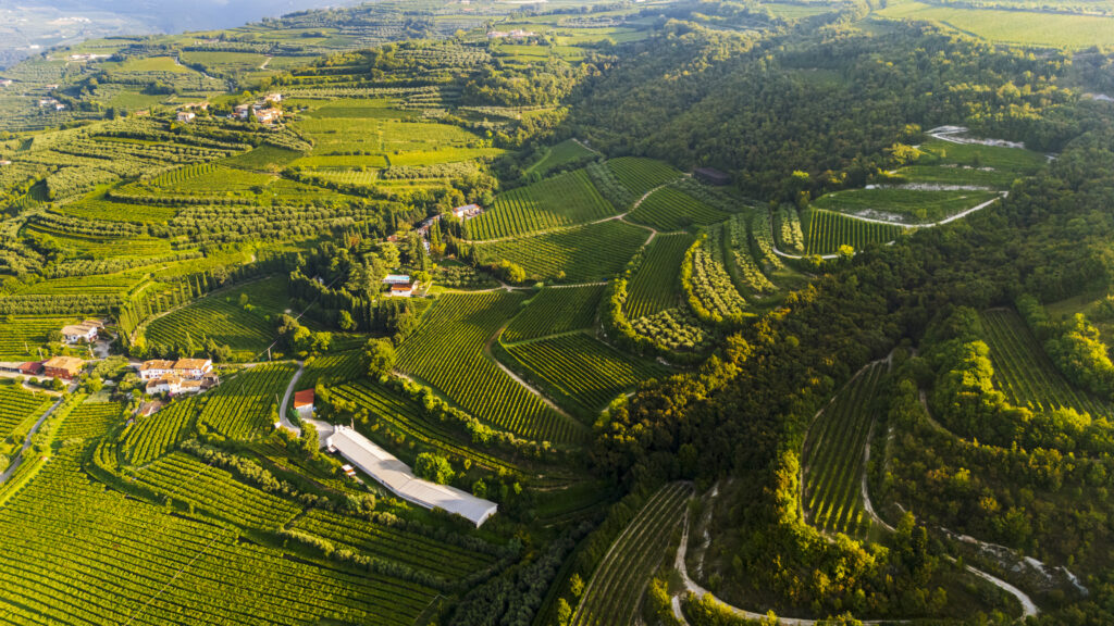 Valle di Mezzane: panorama 3