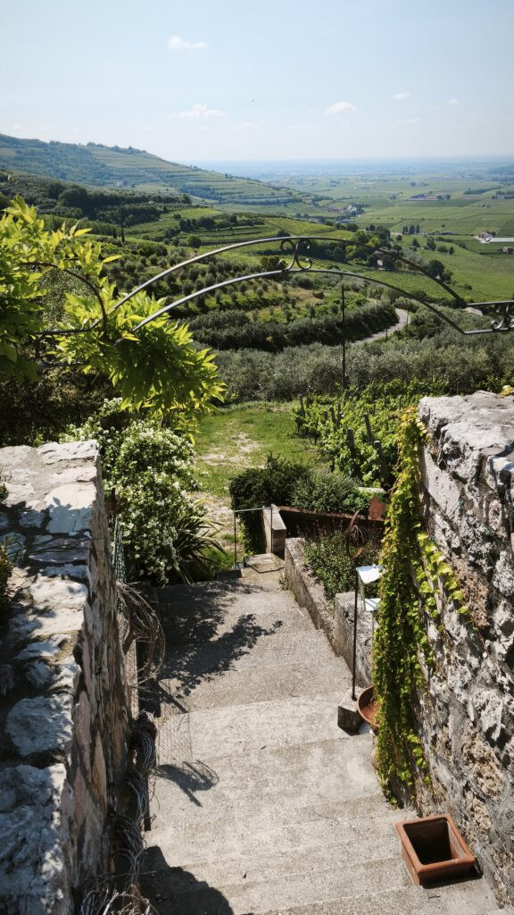 Valle di Mezzane: i vigneti dei Tamasotti